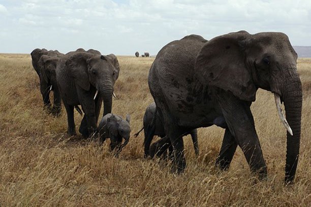Itinerary Image