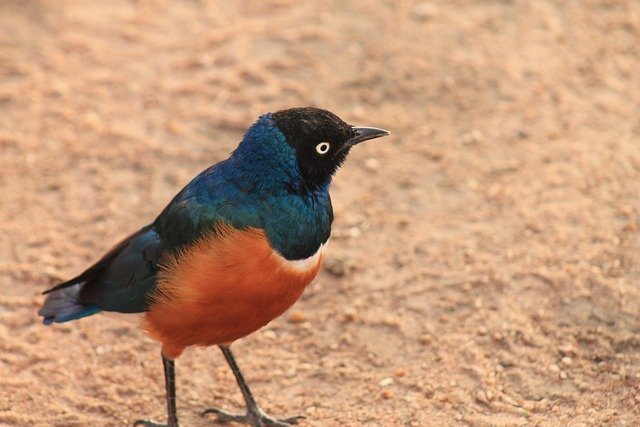 Blog image