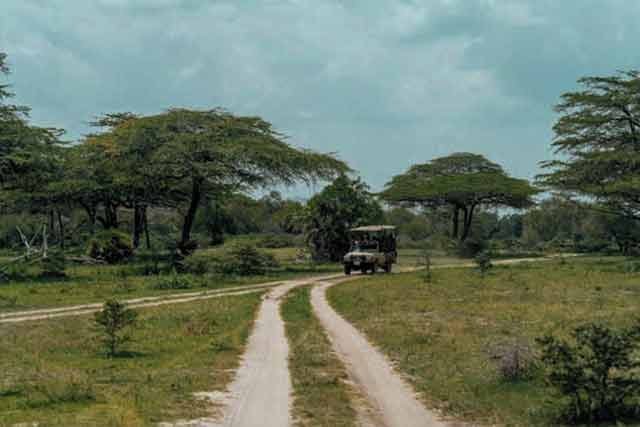 Package image